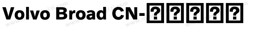 Volvo Broad CN字体转换